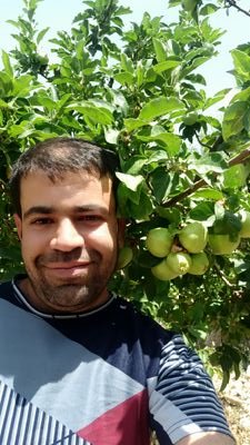 majidsh1367's profile picture. من عالیم