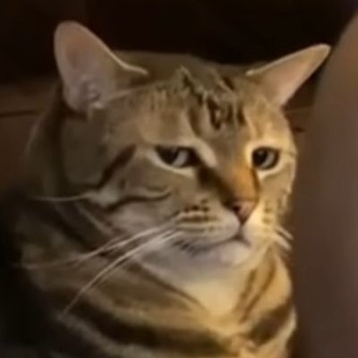 Catmaster_Art's profile picture. Digital & traditional artist