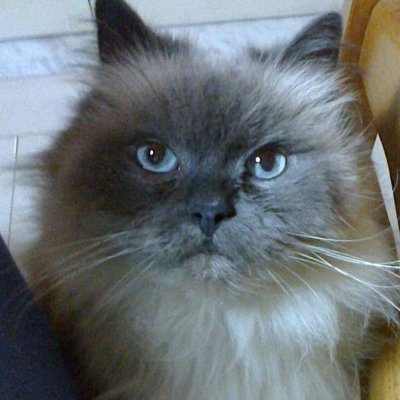 AntoniaMarr1's profile picture. 