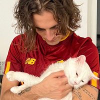 damiano loops (@damianoloop) 's Twitter Profile