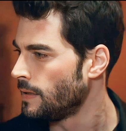 Toda mi admiración  al mejor actor turco 
#AkınAkınözü💜