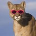 Felidae (@gferro1965) Twitter profile photo Felidae (@gferro1965) Twitter profile photo