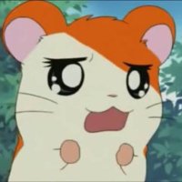 015↑78↓8 (@mrbobnan) Twitter profile photo