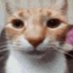 frog (@unusualfrog_) Twitter profile photo frog (@unusualfrog_) Twitter profile photo