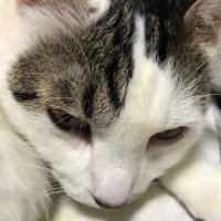 😈🔮chihiro🔮😈 (@chihiro5596) 's Twitter Profile Photo 😈🔮chihiro🔮😈 (@chihiro5596) 's Twitter Profile Photo