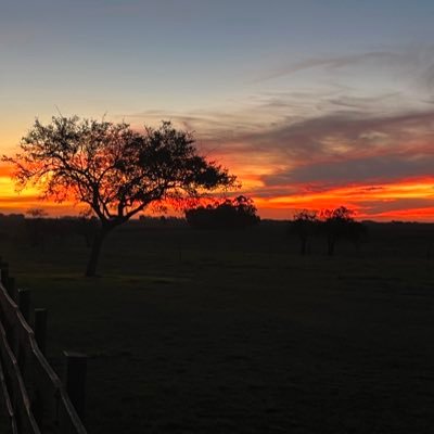 Quiero a mi Uruguay.!!!!