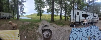 CliffordIND's profile picture. -Free Speech Protection
-Women's sports integrity
-Border control
-Inflation management
-Preventing coercive mandates