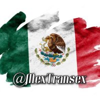 Trans y Travestis Mexico 🇲🇽(@MexTransex) 's Twitter Profileg