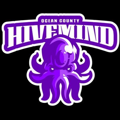 HiveMindNJ Profile Picture