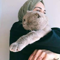 CARNATOR (@feyzakrbckk) 's Twitter Profile Photo CARNATOR (@feyzakrbckk) 's Twitter Profile Photo