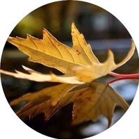 بنت المدينه 🇸🇦 (@bnt_almadina12) 's Twitter Profile Photo بنت المدينه 🇸🇦 (@bnt_almadina12) 's Twitter Profile Photo