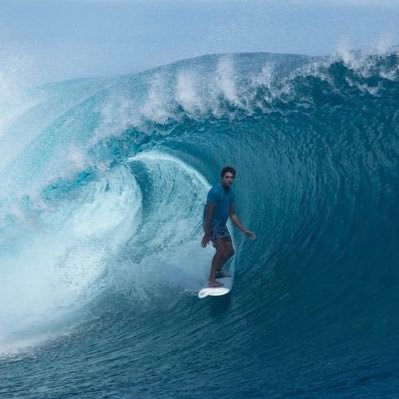 seakoii's profile picture. 