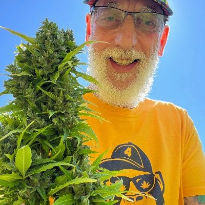 UptownGrowLab Profile Picture