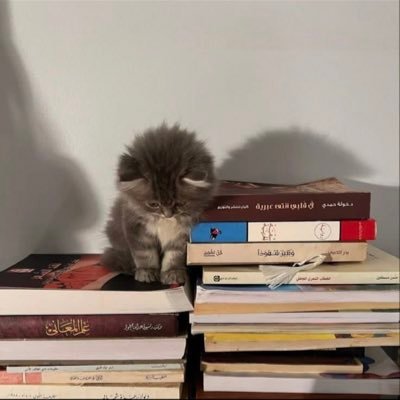 loveemee__1's profile picture. 