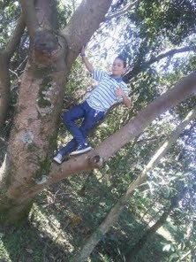 Gui_F1213's profile picture. Eu sou um menino como qualquer um, com sonhos, amigos e uma vida considerada perfeita por mim.Gostou? Segue || Não gostou? FODA-SE