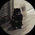 gero (@wysgero) Twitter profile photo gero (@wysgero) Twitter profile photo
