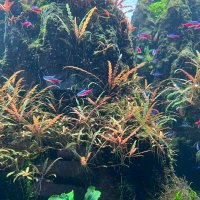 ささかま (@yuki1snow11) Twitter profile photo