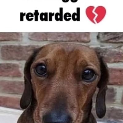 Drpeppe33423112's profile picture. hardest: ACU
easiest: Level Easy