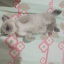 Diego Veras - @diego_vera20160 - Twitter