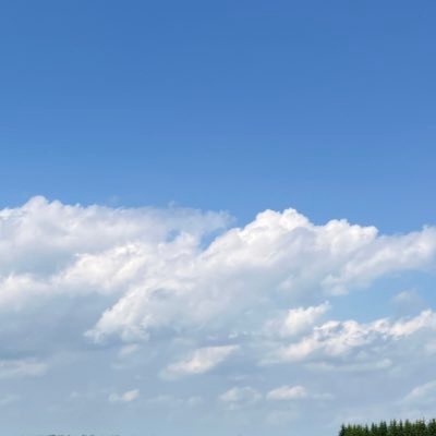 maronさんのプロフィール画像