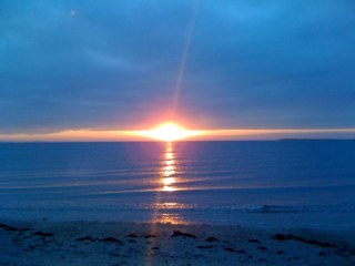 aubreymcnally's profile picture. old mean fart