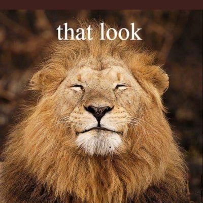 Puberty is the natural pathway to a mature adult. A man is an adult human male, forever. Respect & trust cannot be bought or demanded. No DMs.