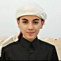 Hameed (@hamdanh06640458) 's Twitter Profile