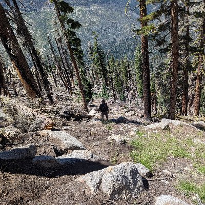 Hot takes with free typos. Father, husband, marine veteran (tracks/recovery) and wildlife biologist.