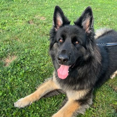 katie_smit67194's profile picture. 