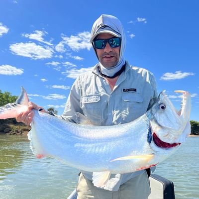 brunoberald0's profile picture. 