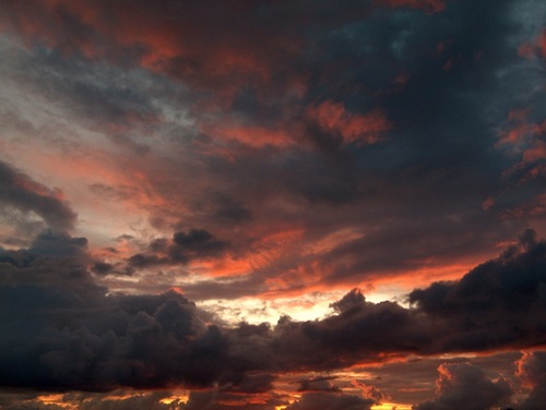 AngelsOfSecrets's profile picture. I should be dead, there is no question, but I am here. I survived it all. I am Joan and I survived on Angels wings so I could write this for You