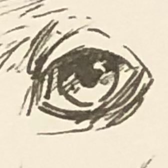 Chick3nFish's profile picture. 