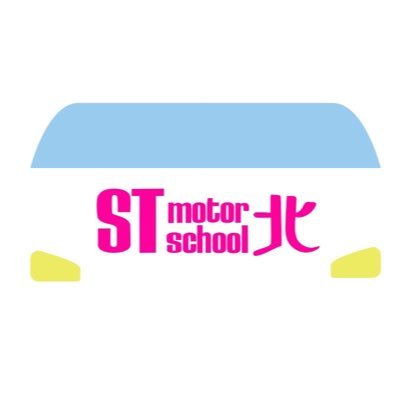 stmotorschool Profile Picture