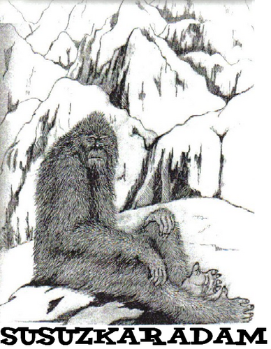 susuzkaradam's profile picture. 