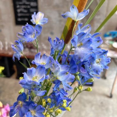 母なる自然を大切にし、愛の季節です🌺私はいつも、自然がもたらしてくれる美しさと毎年心を込めて花を咲かせる時間を過ごすのが大好きです💐🪴