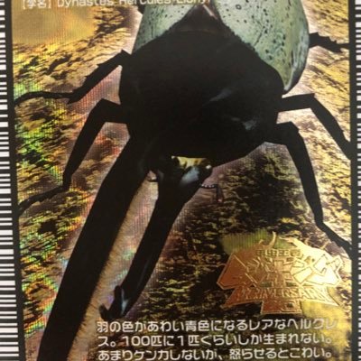 リッキーブルーさんのプロフィール画像