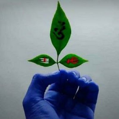 newtechnic47083's profile picture. 