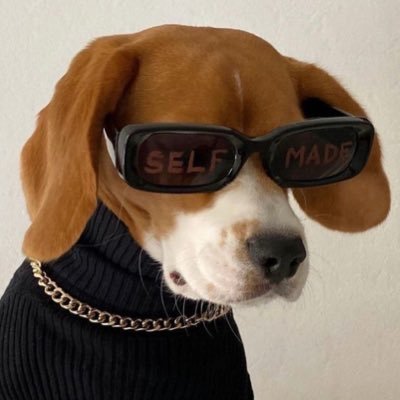 mochas__mom's profile picture. this is getting out of hound