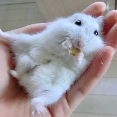 greenfrog110's profile picture. 気象予報士・マヨラー