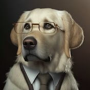 vujcich (@vujcichh) 's Twitter Profile