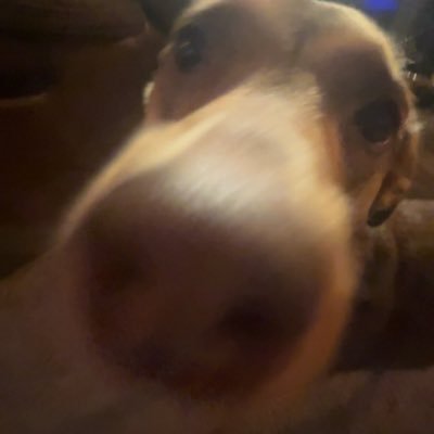im_notdone's profile picture. 