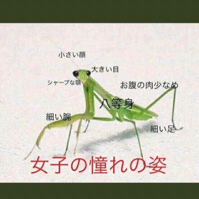 valorant