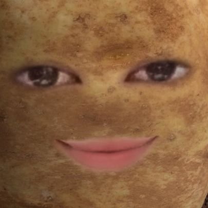 def_not_ica_'s profile picture. taking a break.