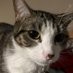ZAID (@ilglawlibrary) Twitter profile photo