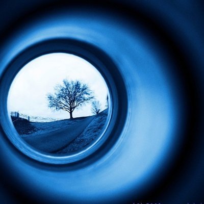 DougCanCook's profile picture. 