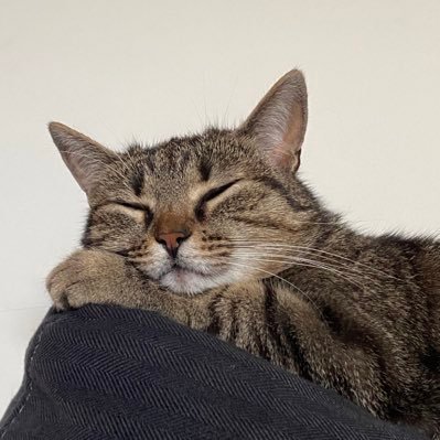 arianhasani's profile picture. 