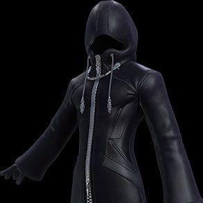 It is Time to Rise Organisation XIII, for the Sake of Kingdom Hearts.

FF14 ALPHA  I was the envoy of the Beasttribes but now Member of the Organisation