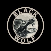 Beats By Black Wolf(@BeatsByBW) 's Twitter Profile Photo