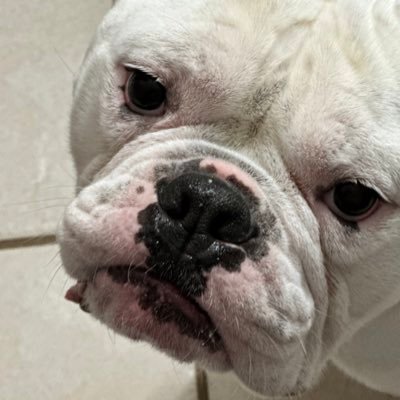 Justin904659077's profile picture. 