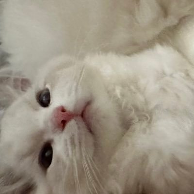 SirawanSn's profile picture. 💚